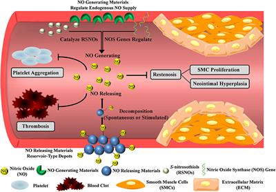 Nitric Oxide-Producing Cardiovascular Stent Coatings for Prevention of Thrombosis and Restenosis